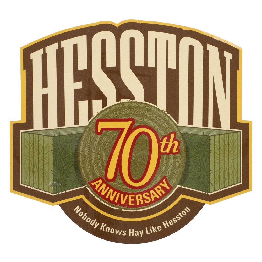 НАКЛЕЙКА HESSTON — фото 3
